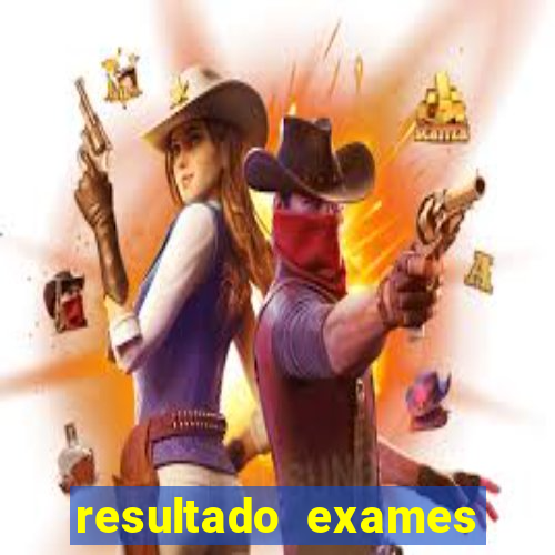 resultado exames unimed poa