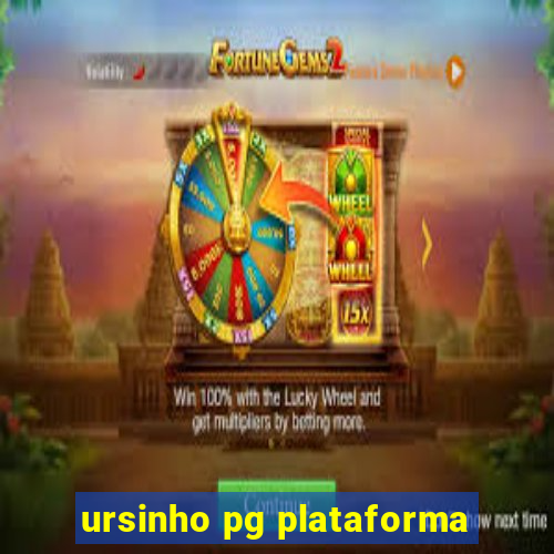 ursinho pg plataforma