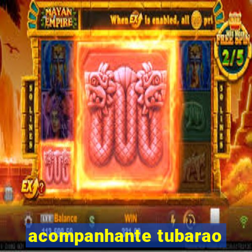 acompanhante tubarao