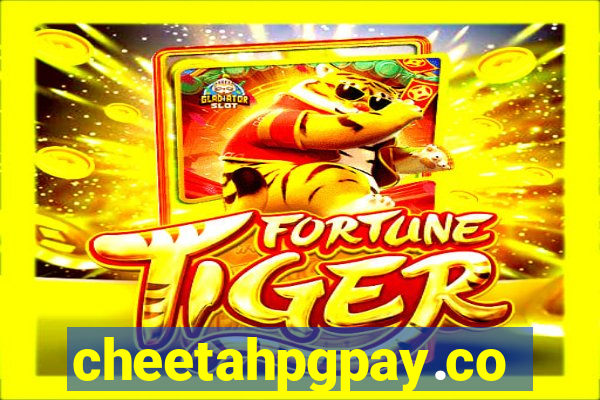 cheetahpgpay.com