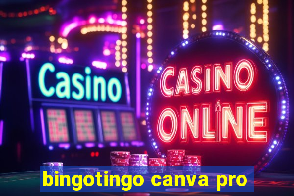 bingotingo canva pro