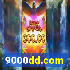 9000dd.com