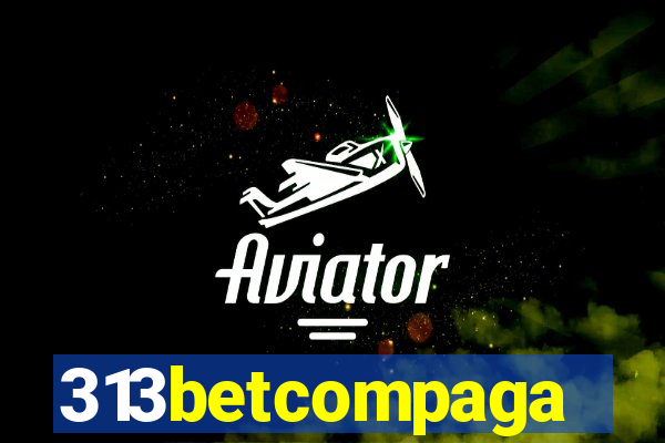 313betcompaga