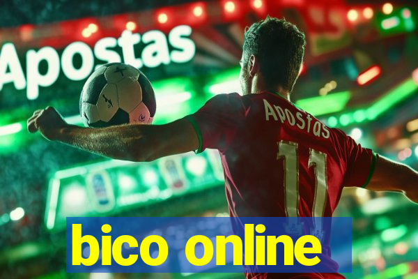 bico online