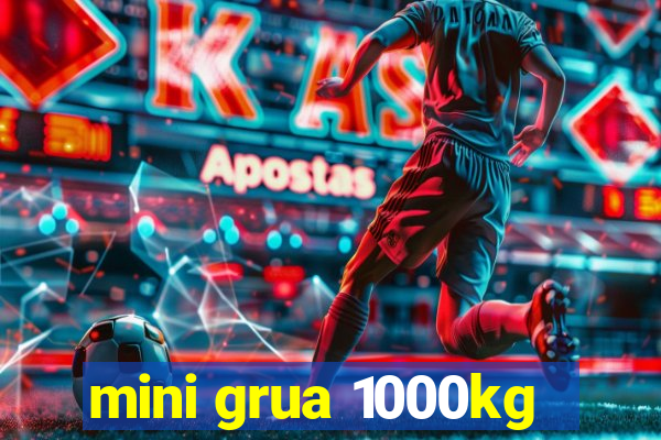 mini grua 1000kg