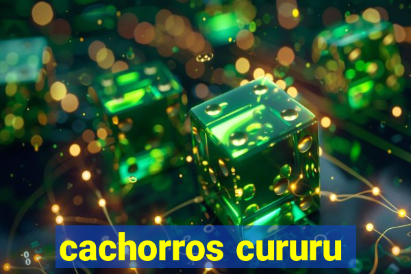 cachorros cururu