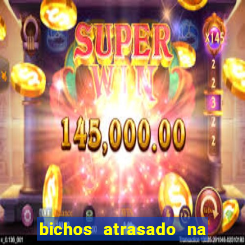 bichos atrasado na loteria dos sonhos