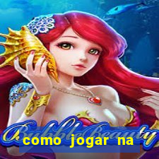 como jogar na lotinha do jogo do bicho