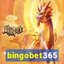 bingobet365