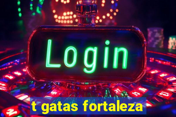 t gatas fortaleza